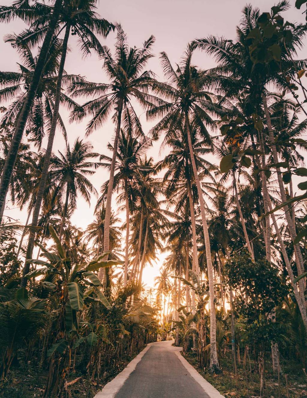 nusa penida trip guide crystal bay palmtrees
