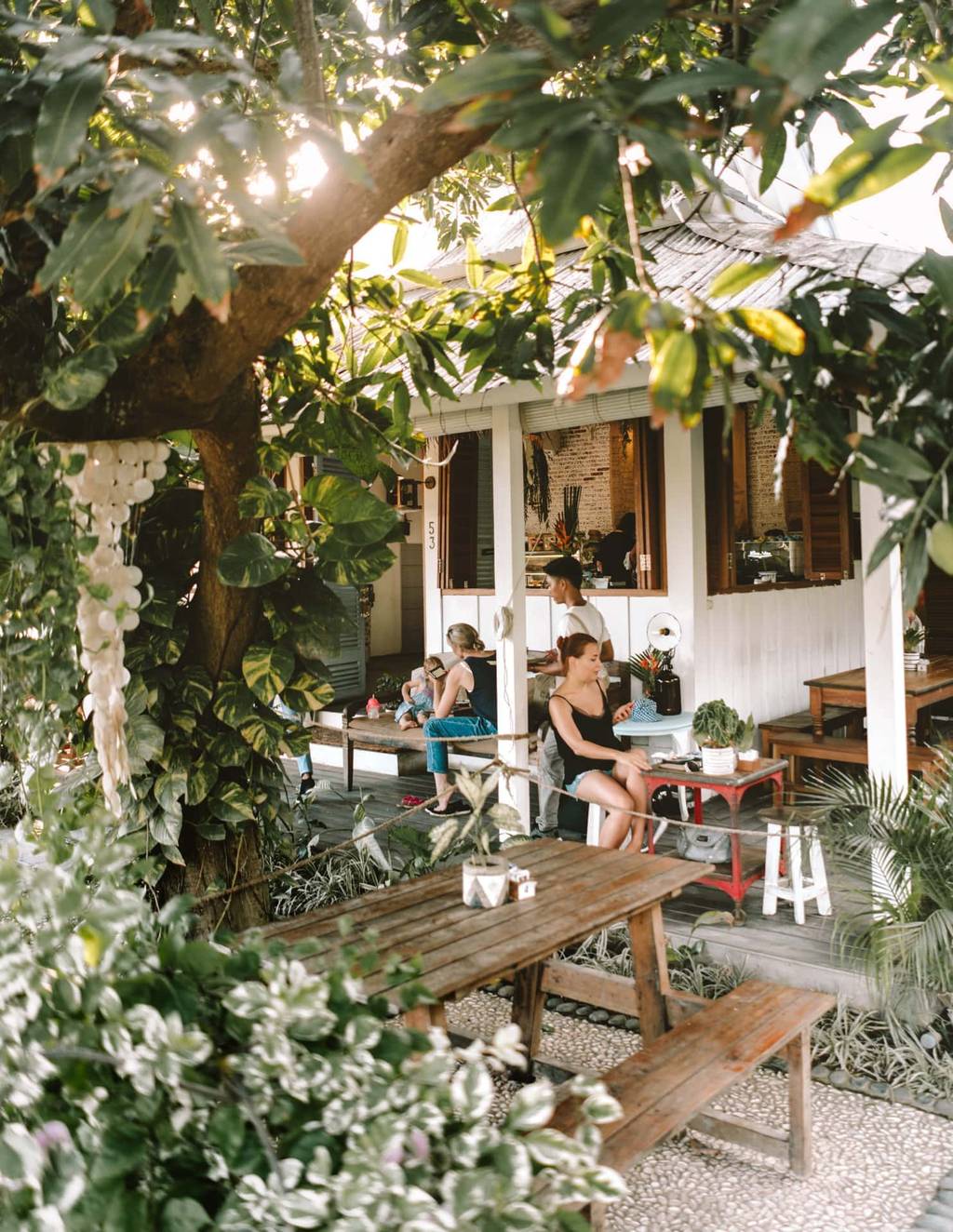 shady shack restaurant