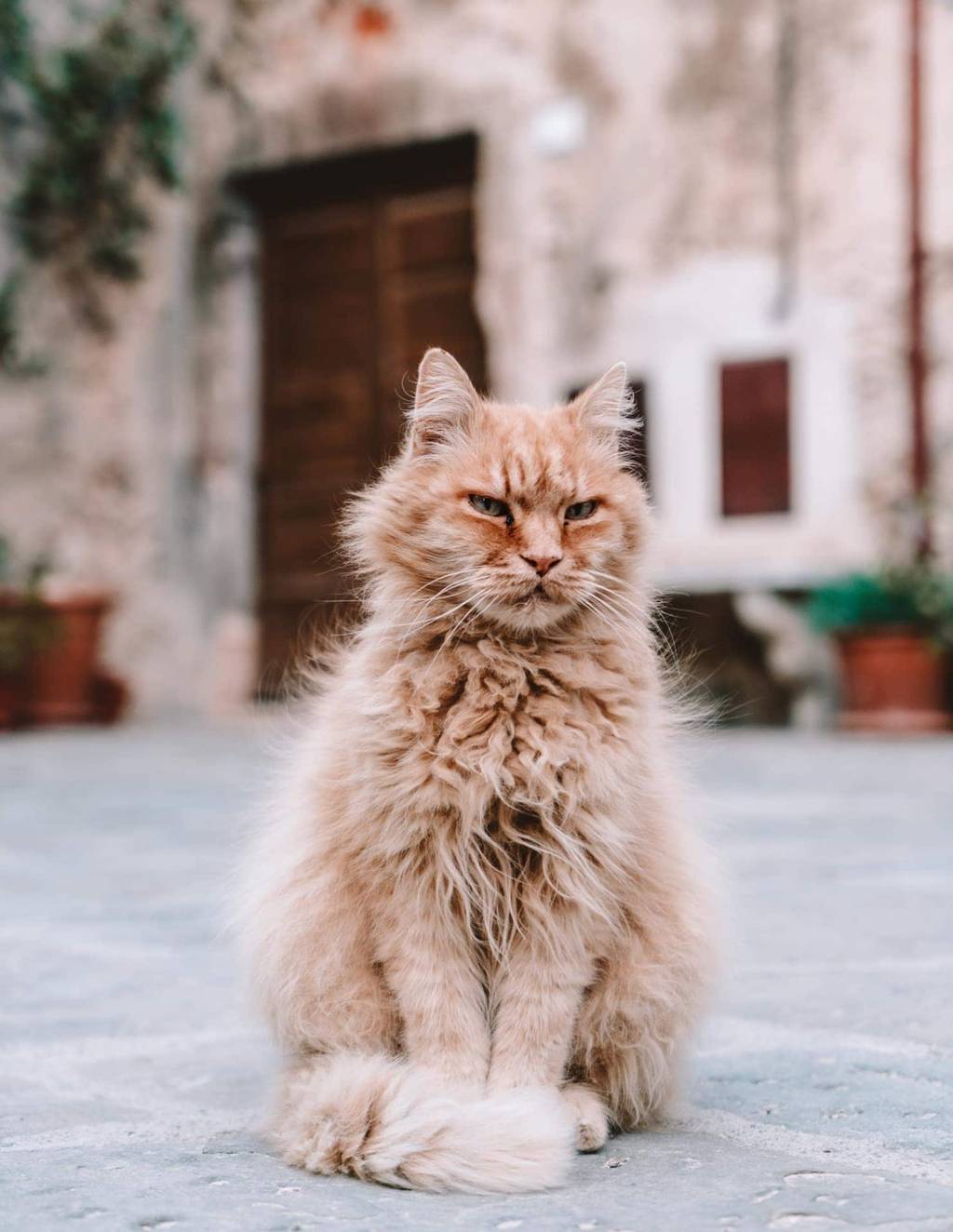 dingen te doen toscane Montemerano
