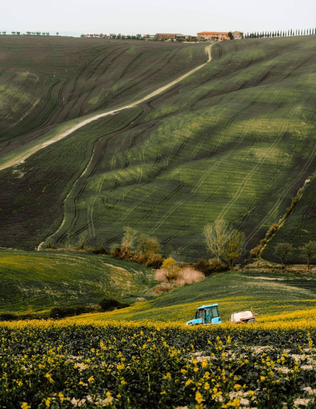 wijnmakerij toscane