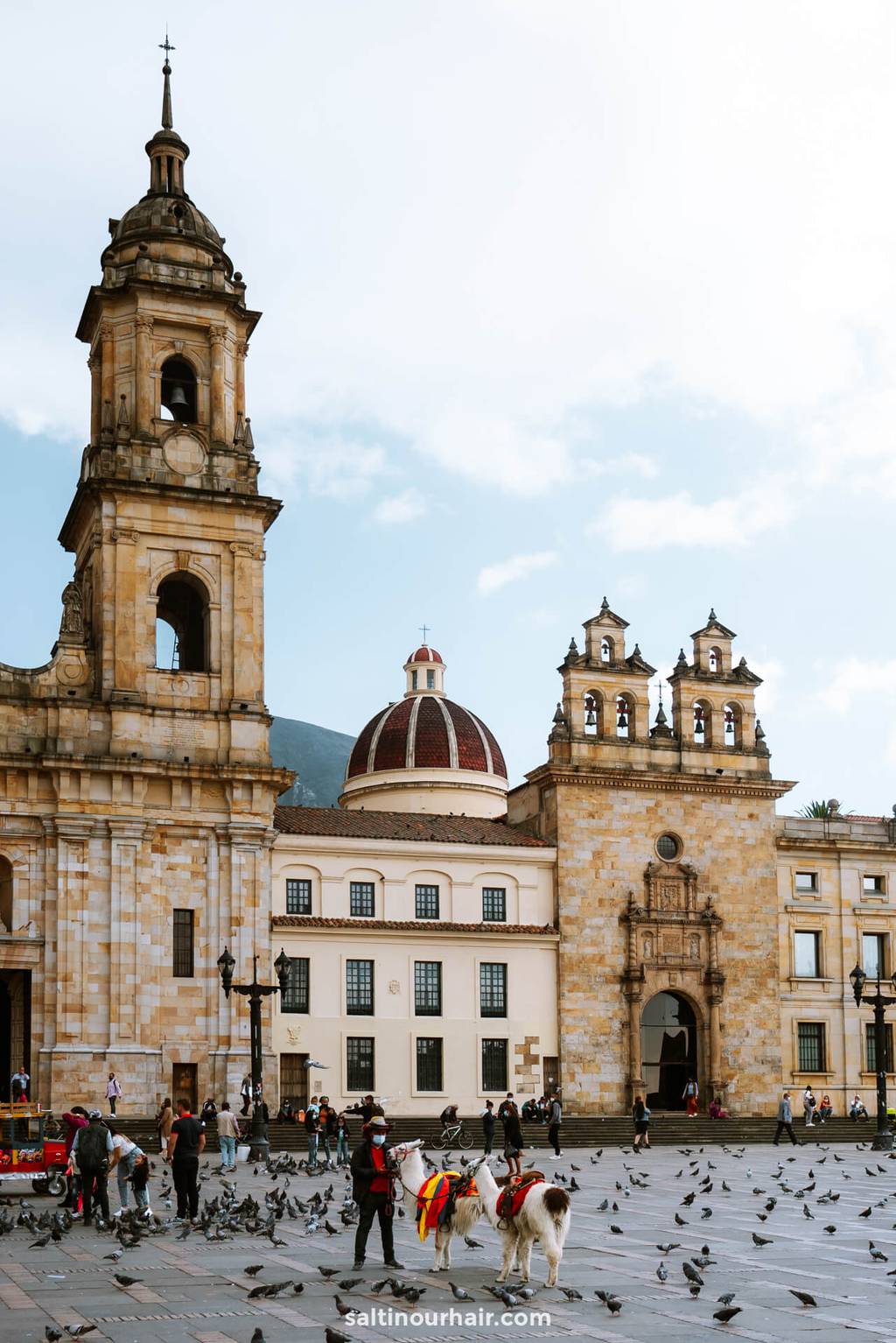 best things to do colombia bogota plaza Bolivar