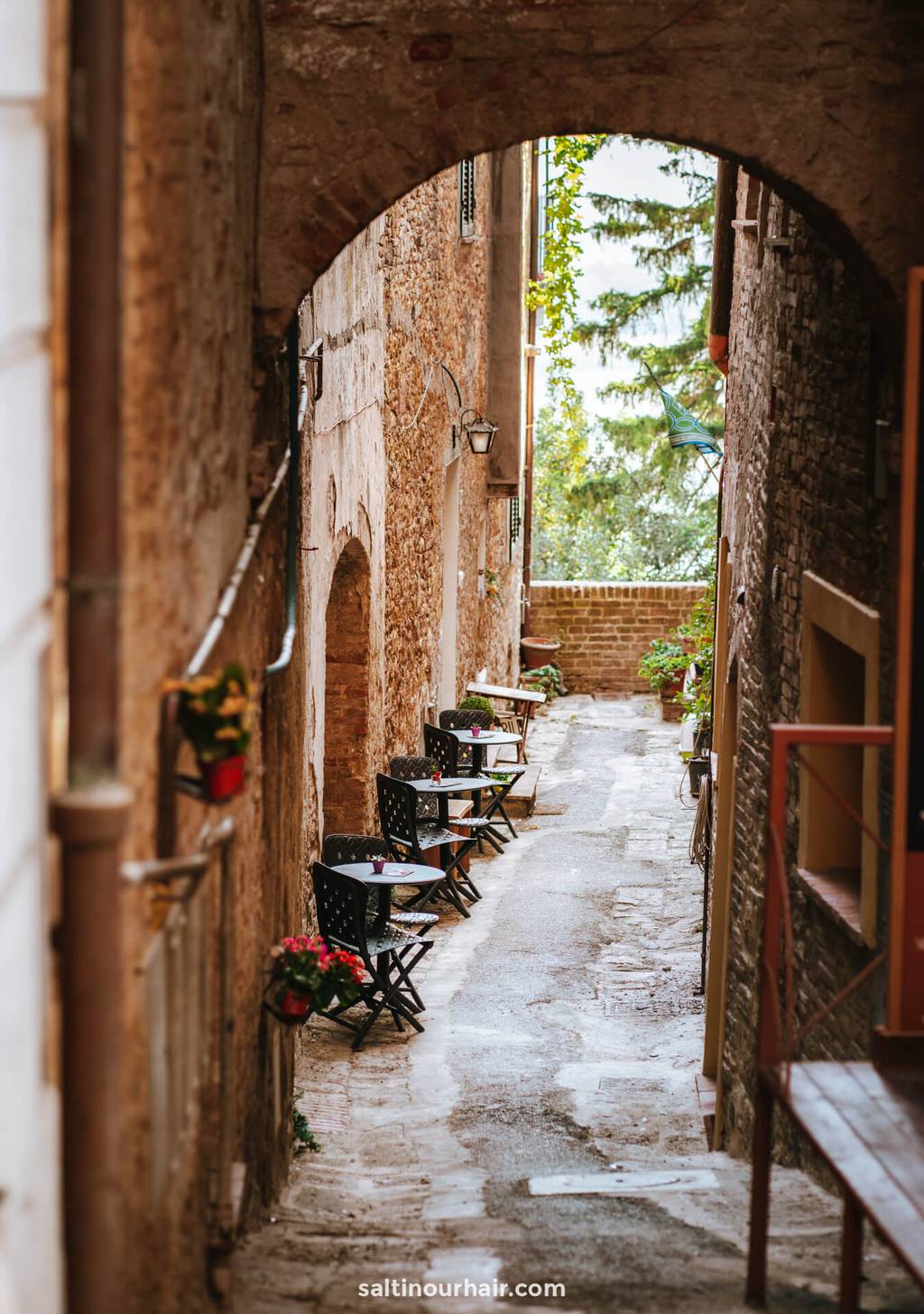 Restaurants in Montepulciano