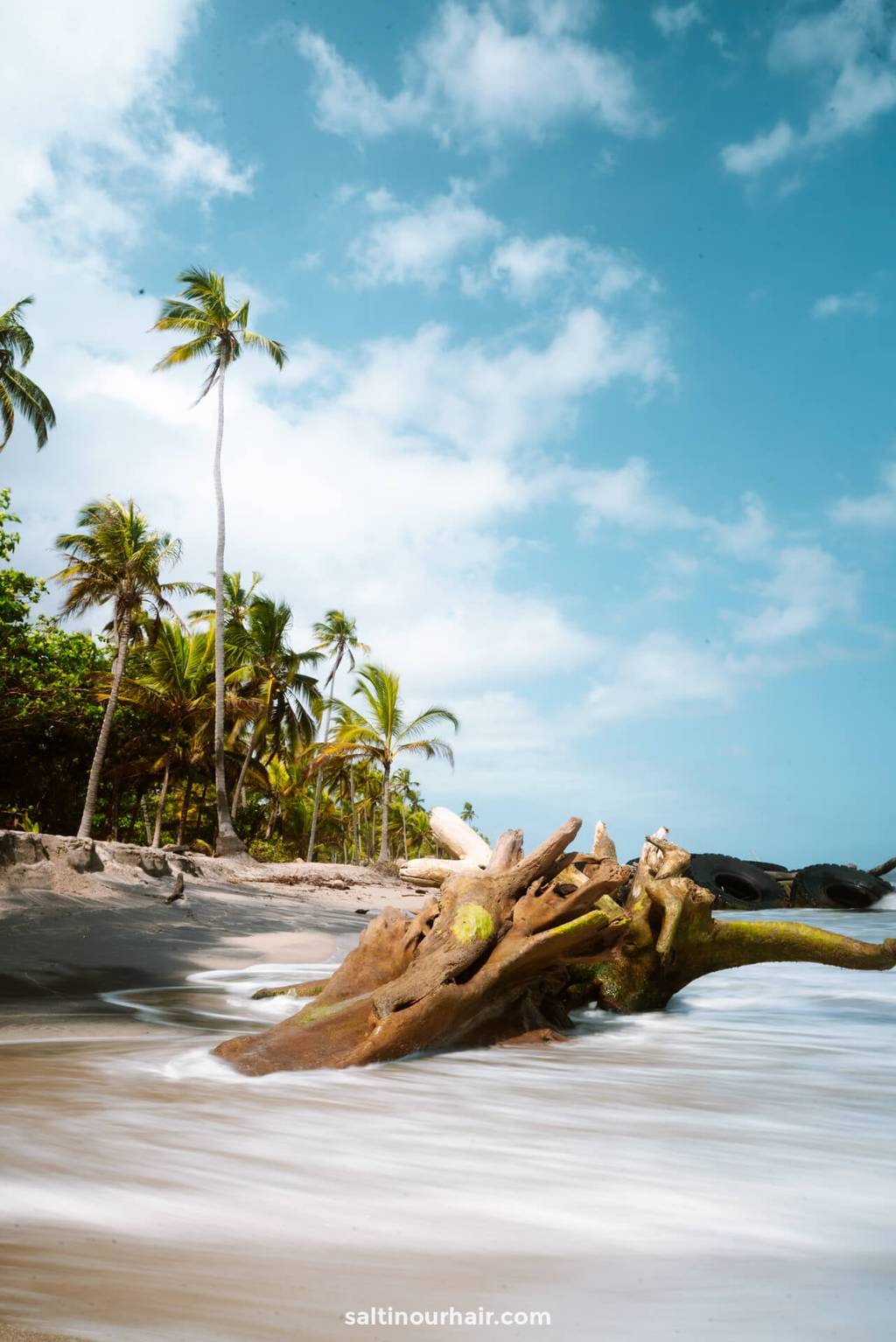 best things to do colombia beach palomino 