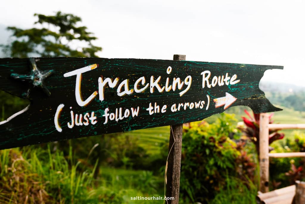 hiking trails sidemen bali