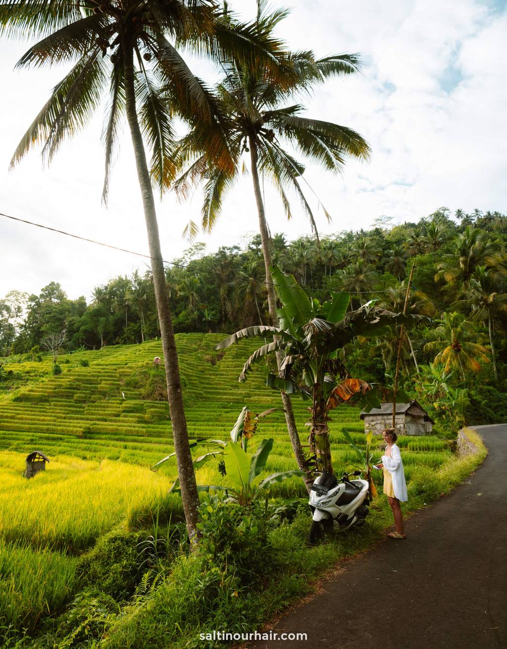 sidemen bali rent a scooter