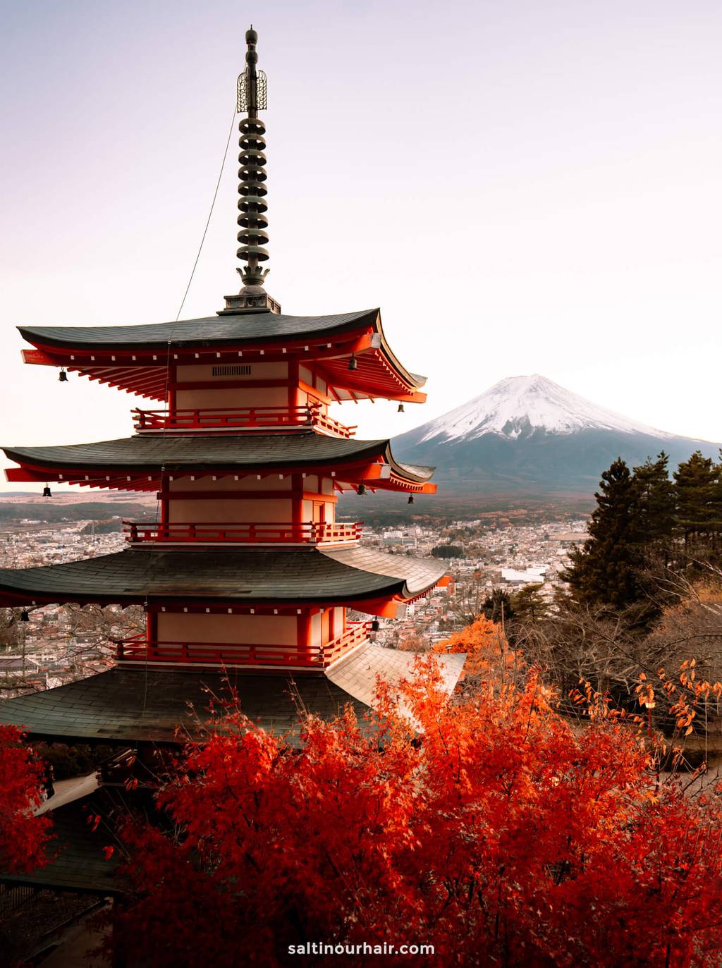 Japan 3-Week Itinerary: Complete Travel Guide (Our Top Tips!)