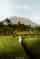 12 Top Things to Do in Sidemen, Bali