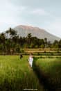 Sidemen Indonesië