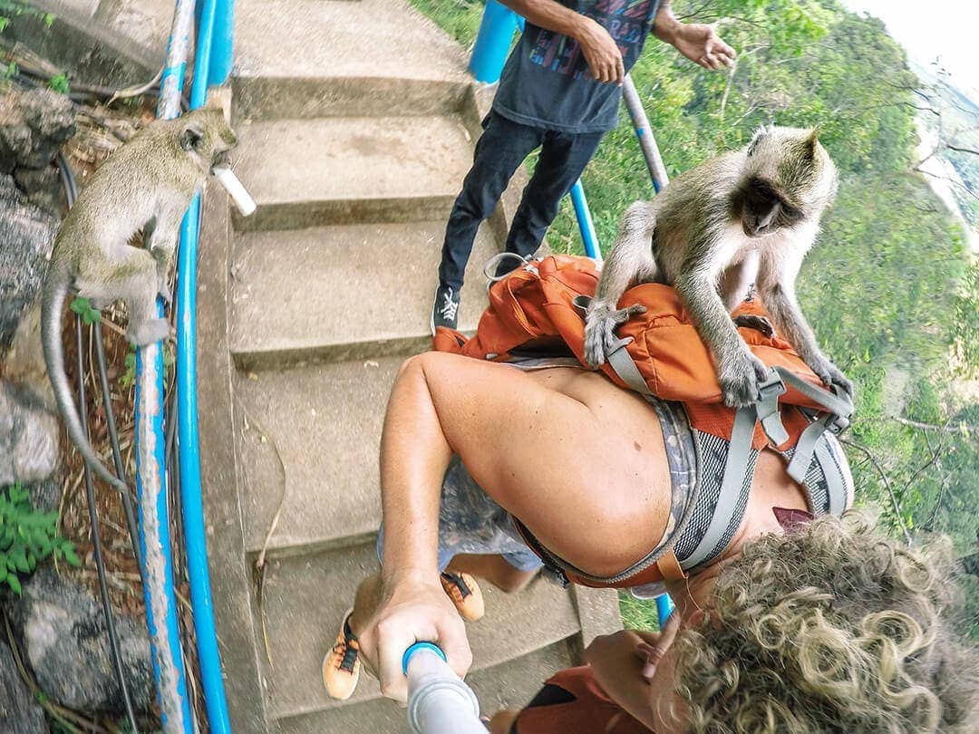 Tiger Cave Temple monkey attack