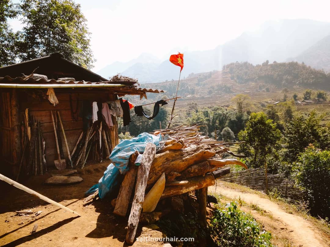 ricefields sapa vietnam