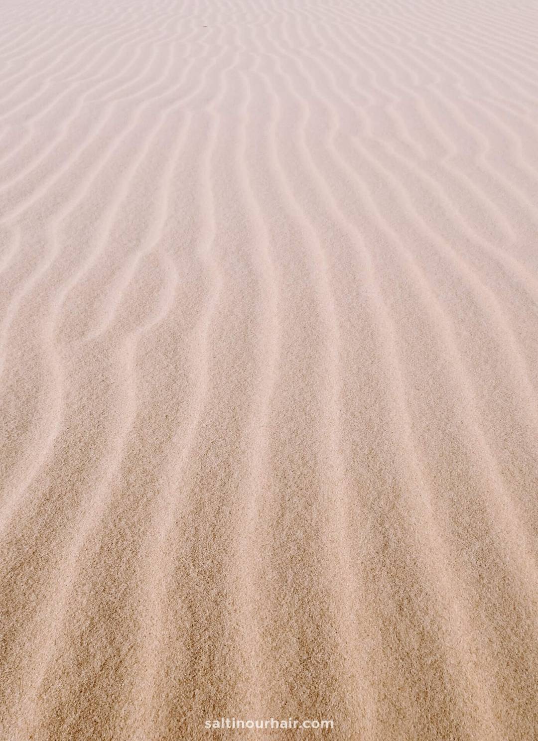 dunes vietnam
