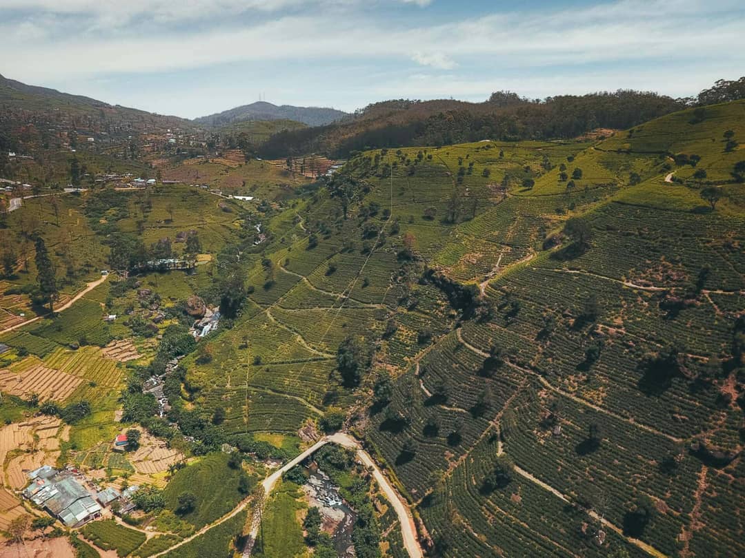 sri lanka nuwara eliya tea plantations