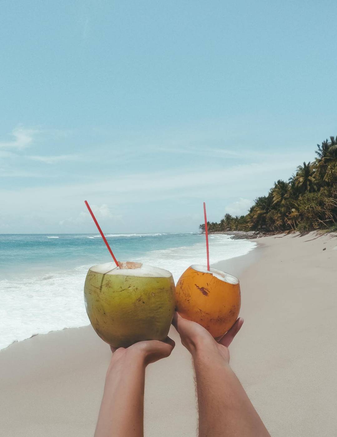 sri lanka beaches koggala coconuts