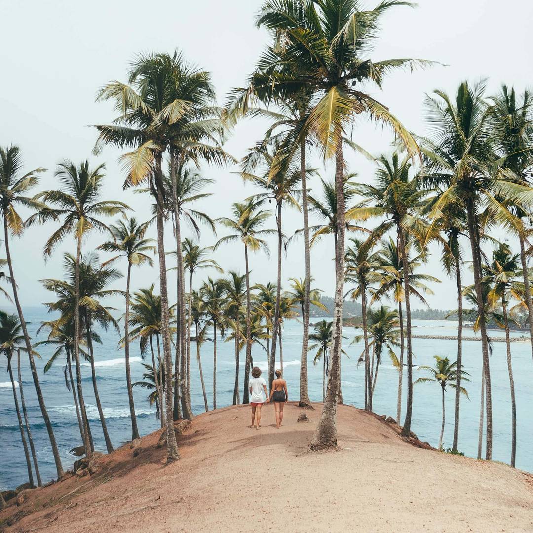 sri lanka beach mirissa coconut tree viewpoint