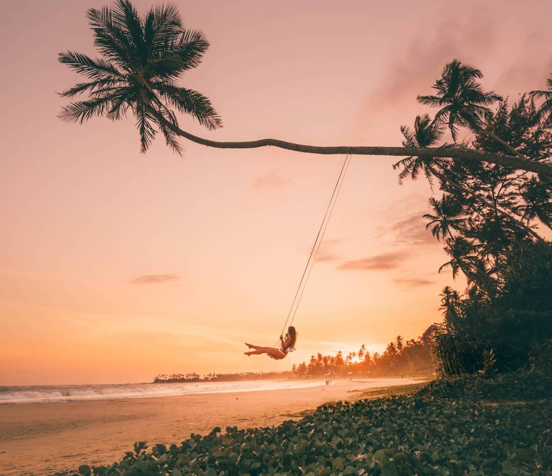 Hiriketiya Dikwella palm swing header