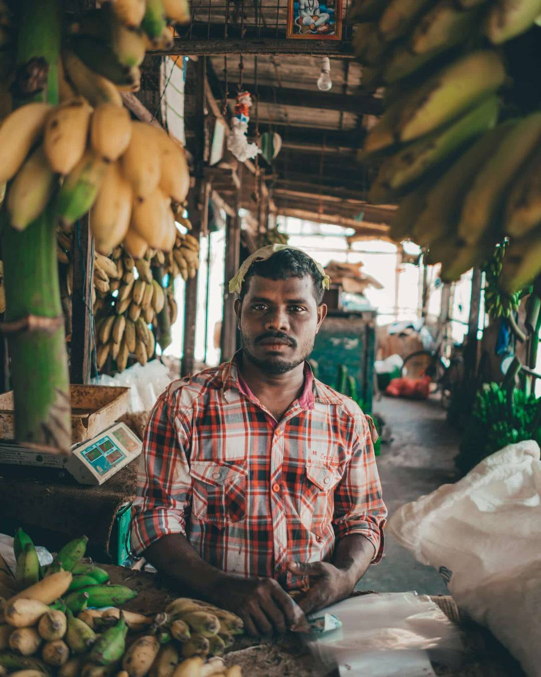 Dingen om te doen Jaffna Sri lanka Lokale marktman