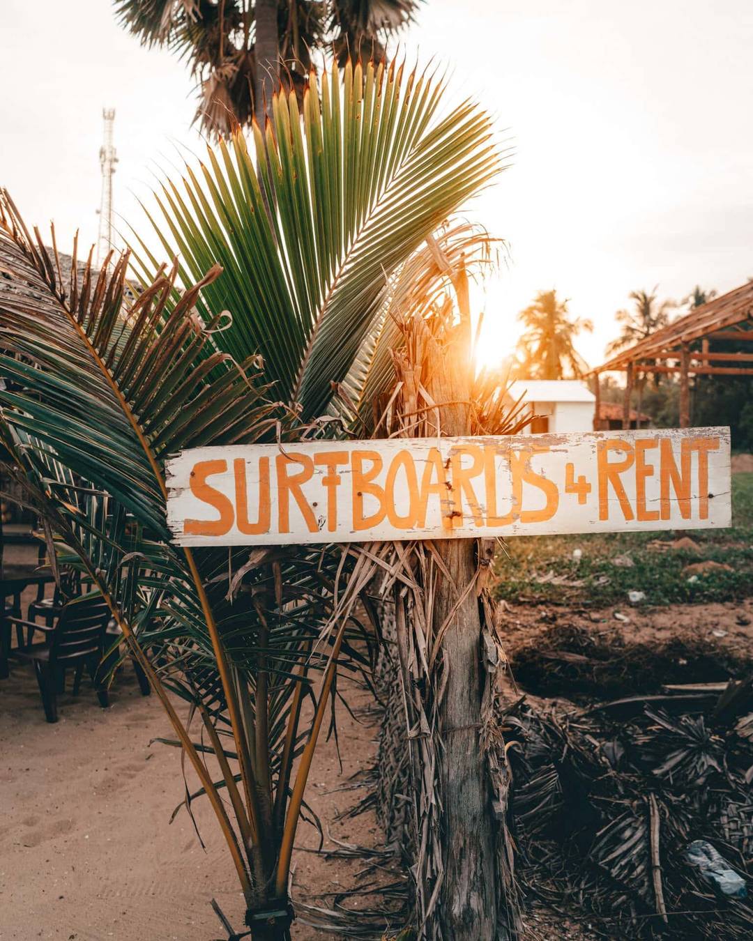 A wooden sign reading SURFBOARDS 4 RENT stands next to palm leaves on a sandy beach at sunset in Arugam Bay, Sri Lanka.