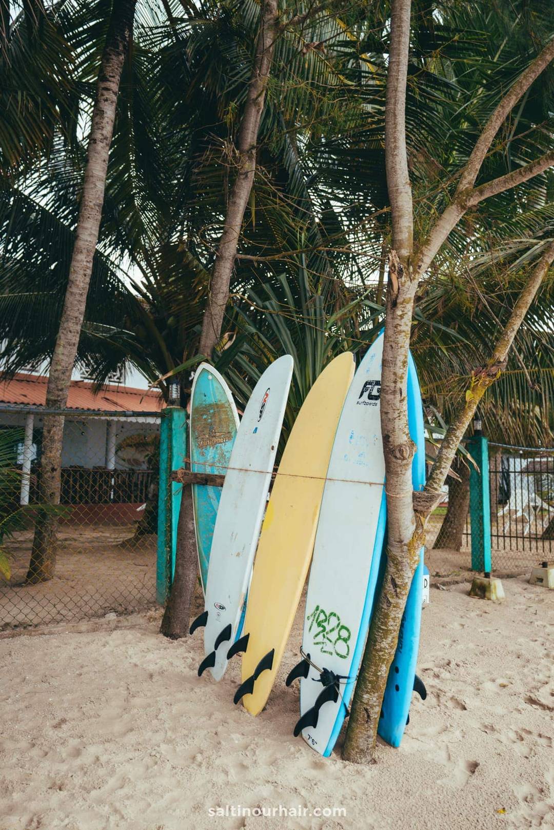 weligama sri lanka surf