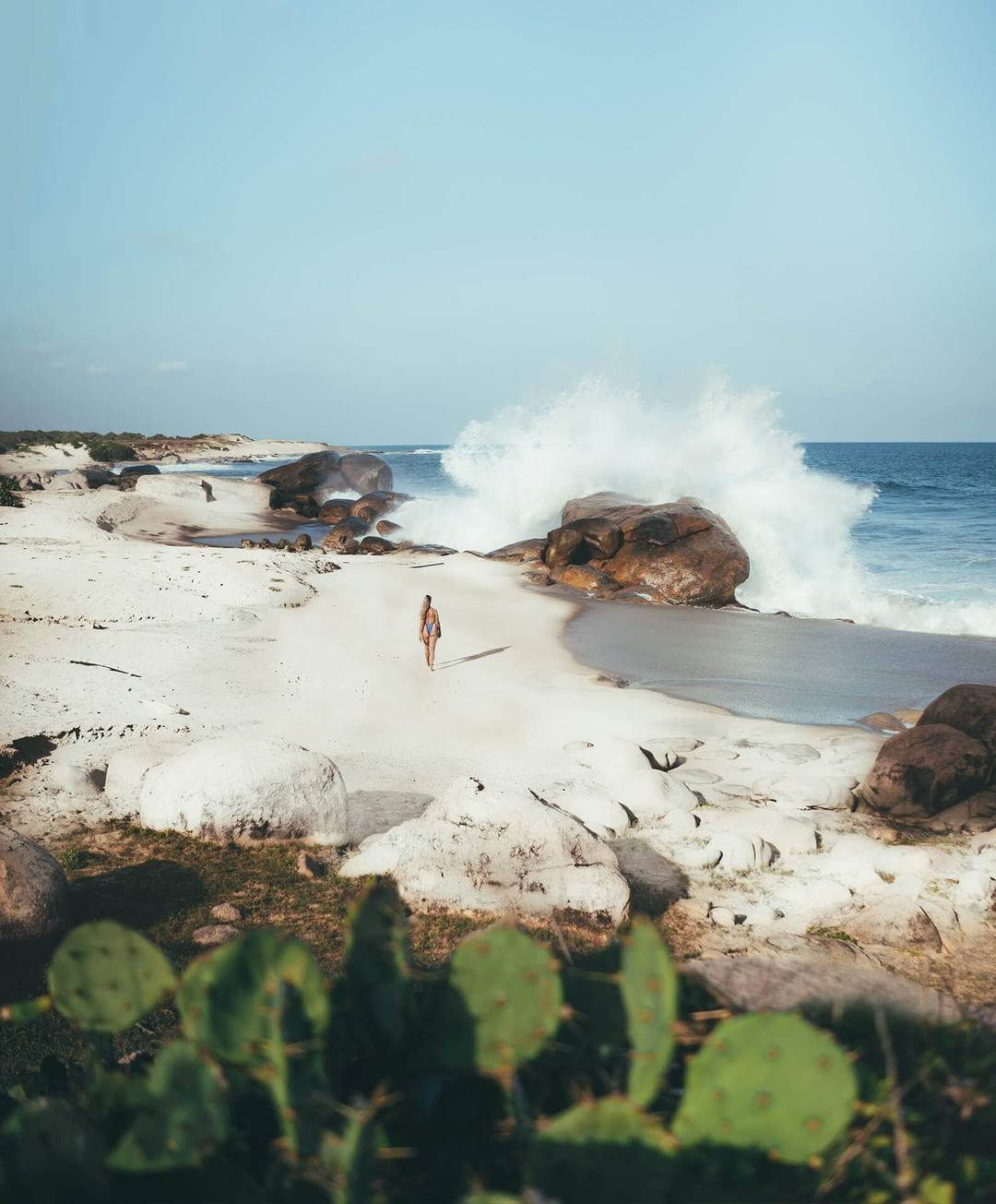 yala national park wild coast tented lodge beach
