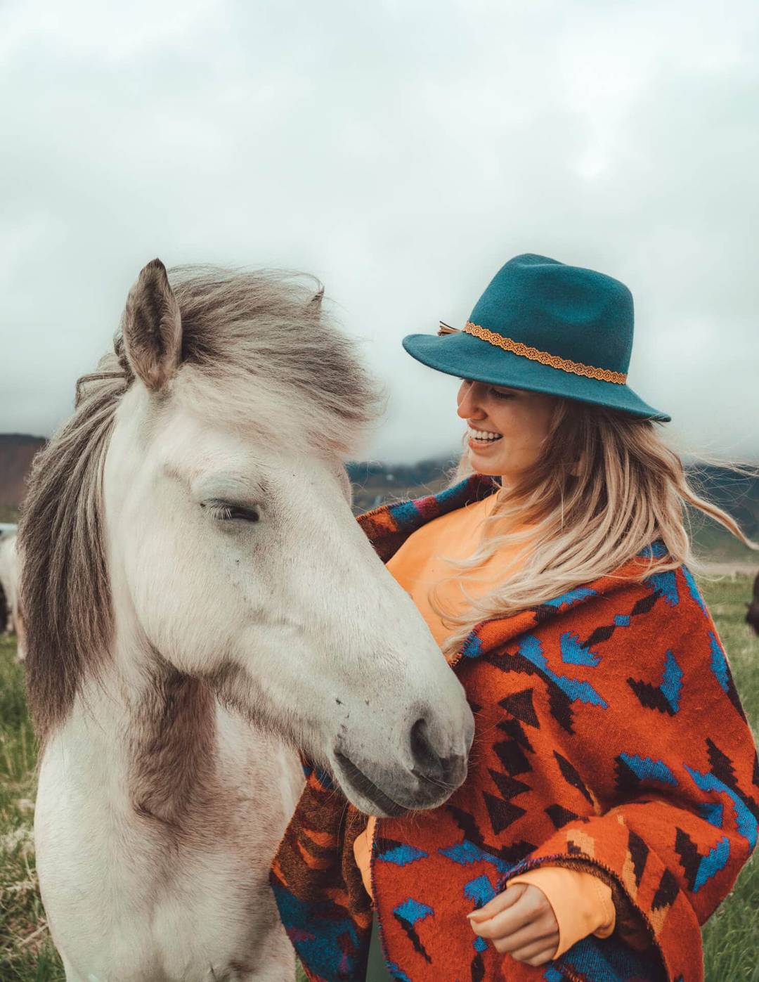 things to do iceland horses