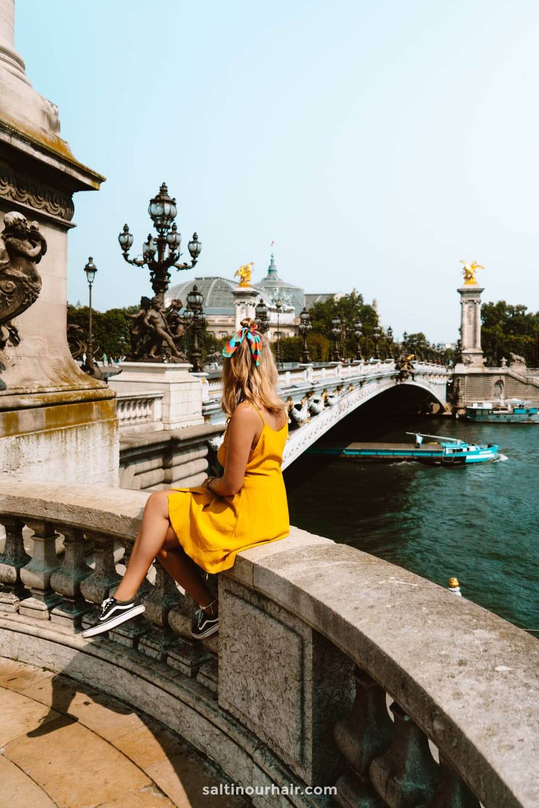 paris bridge River Seine