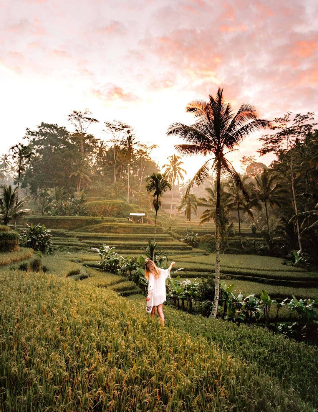tegalalang rice terraces ubud walk