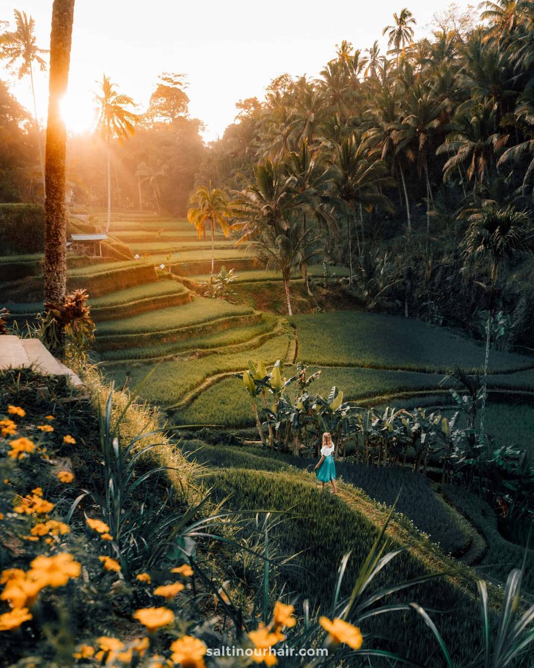 things must do bali Tegalalang