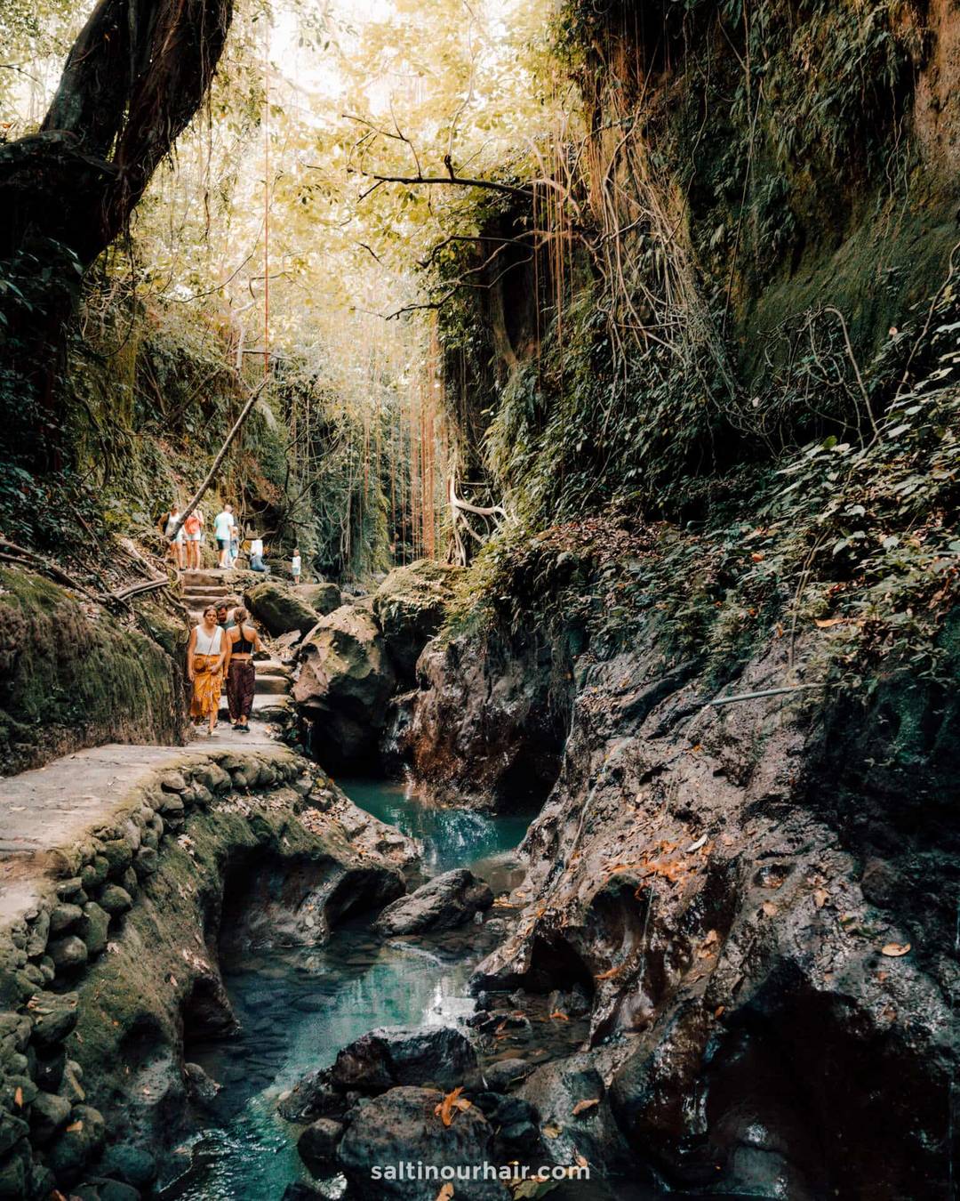 Monkey forest bridge bali