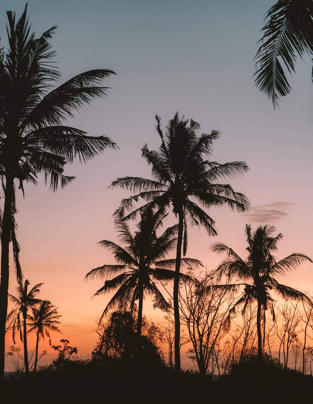 sunset bali