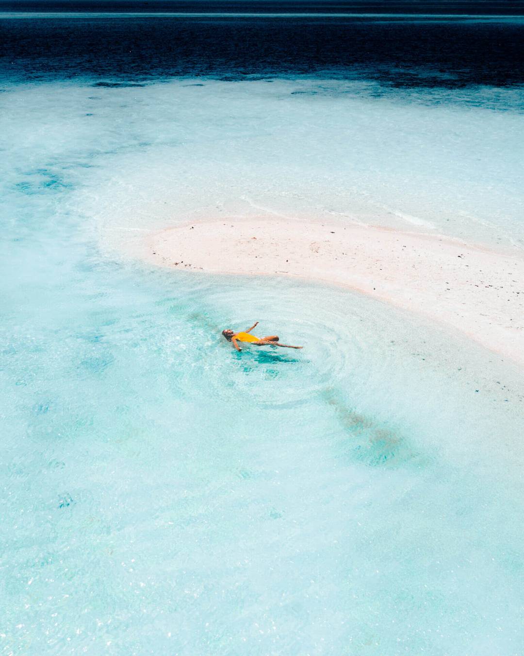 things to do komodo flores swim