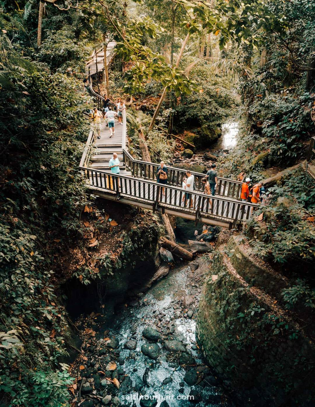 ubud Monkey forest bridge