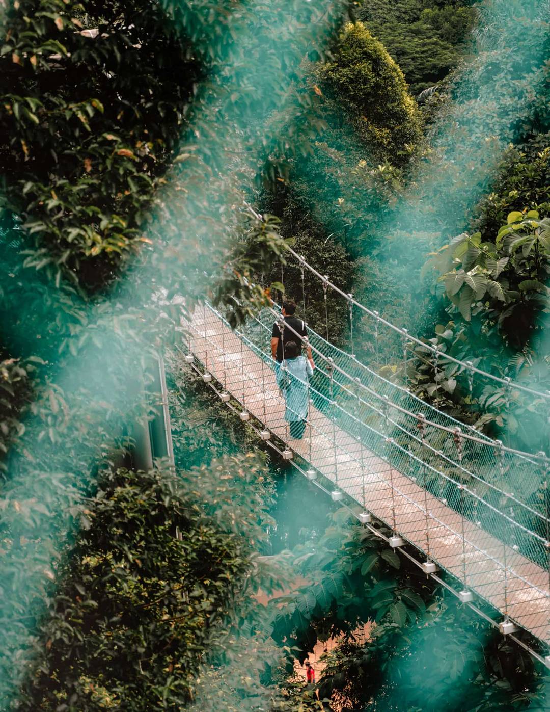 things to do kuala lumpur eco forest