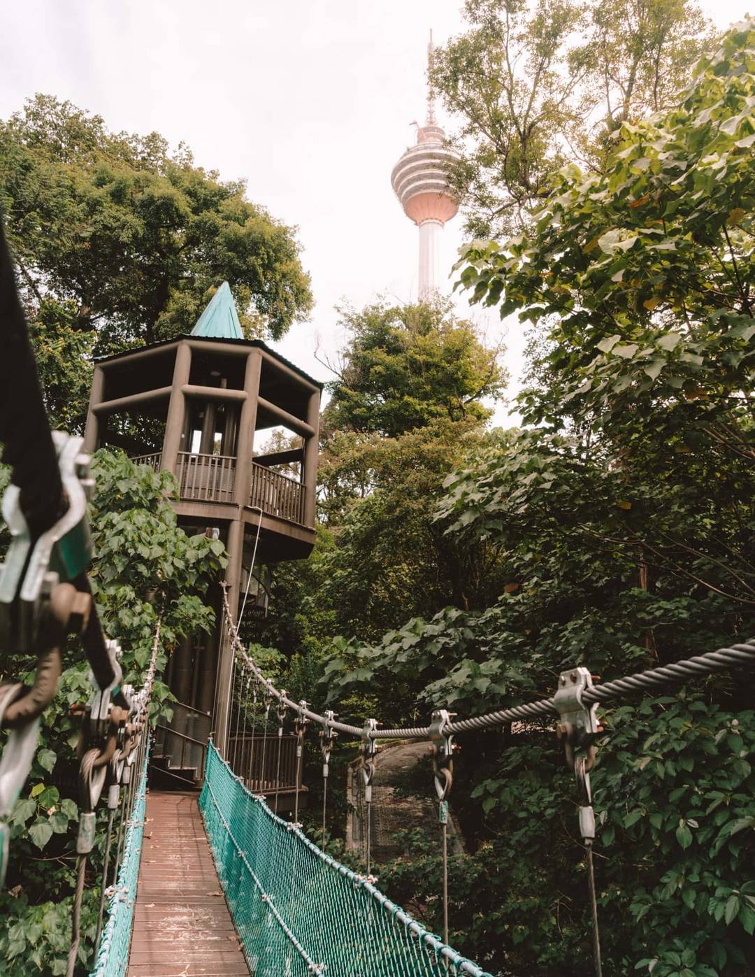 things to do kuala lumpur eco forest view