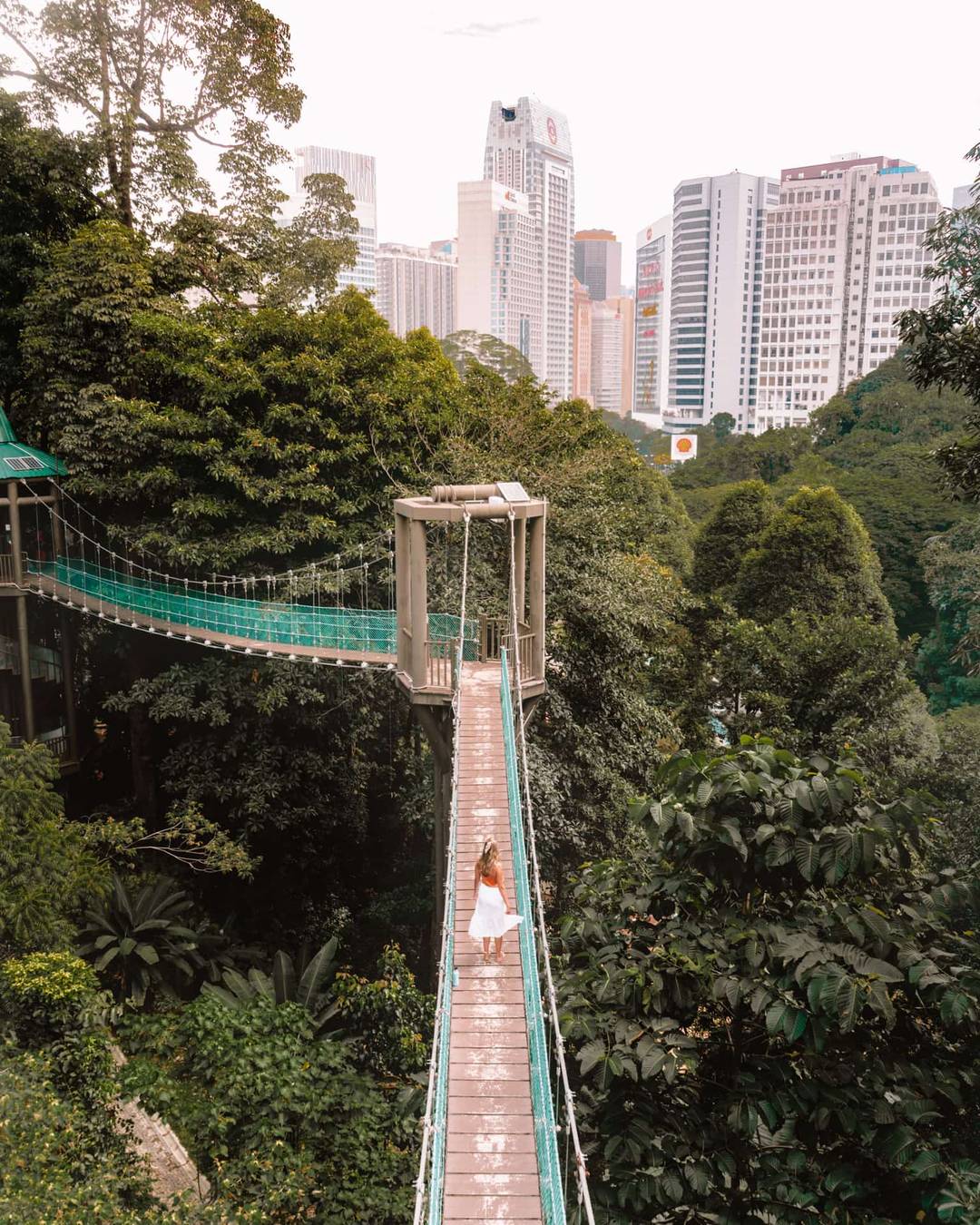 things to do kuala lumpur eco forest