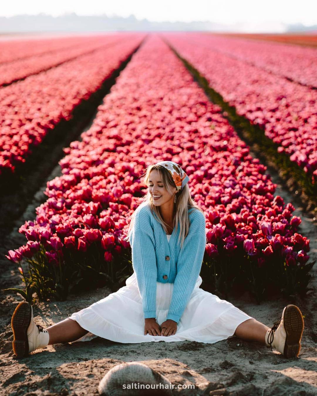 best free tulips fields