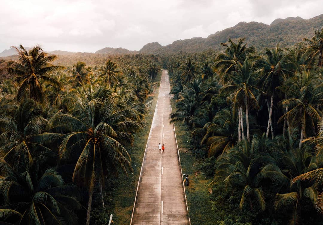 siargao philippines palm road
