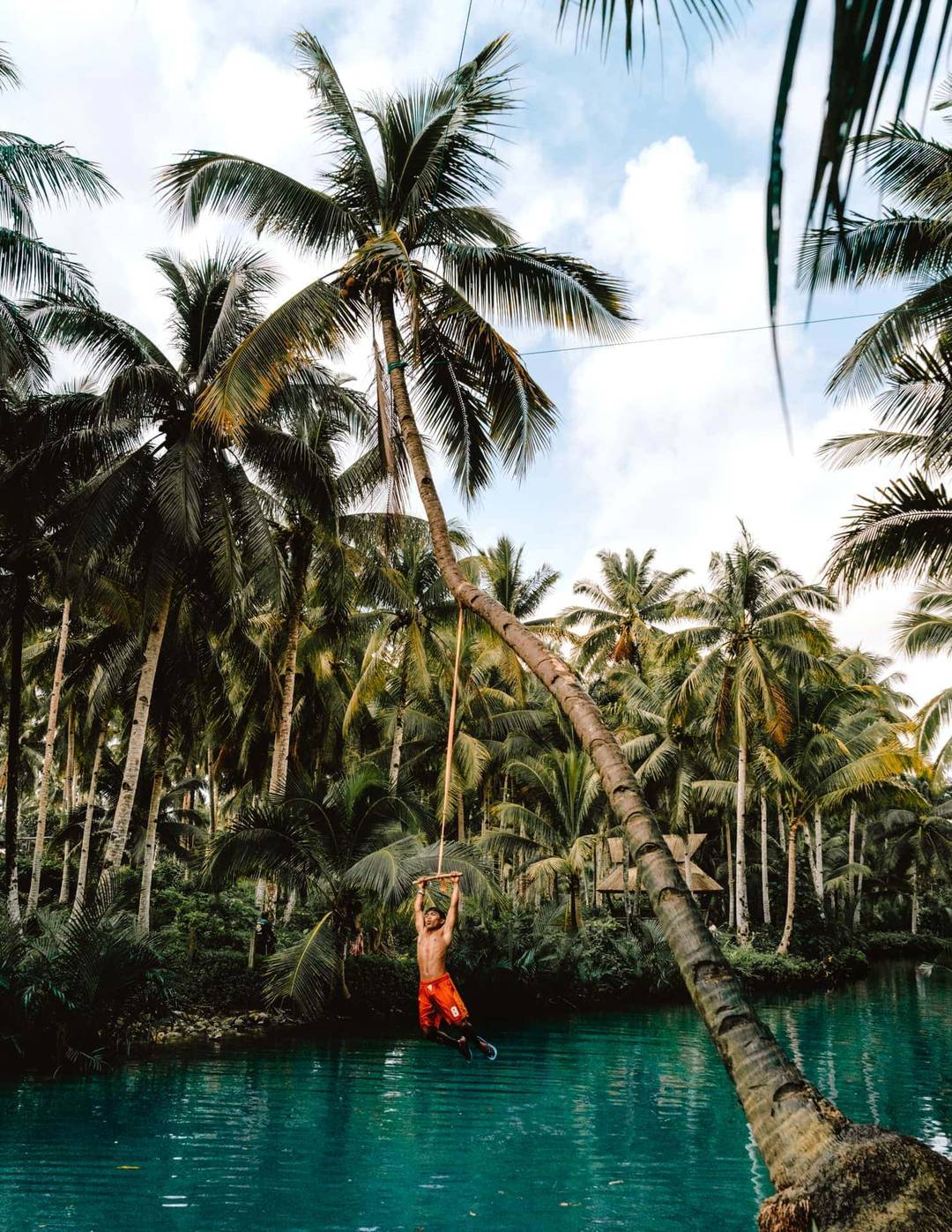 things to do siargao palm roap swing