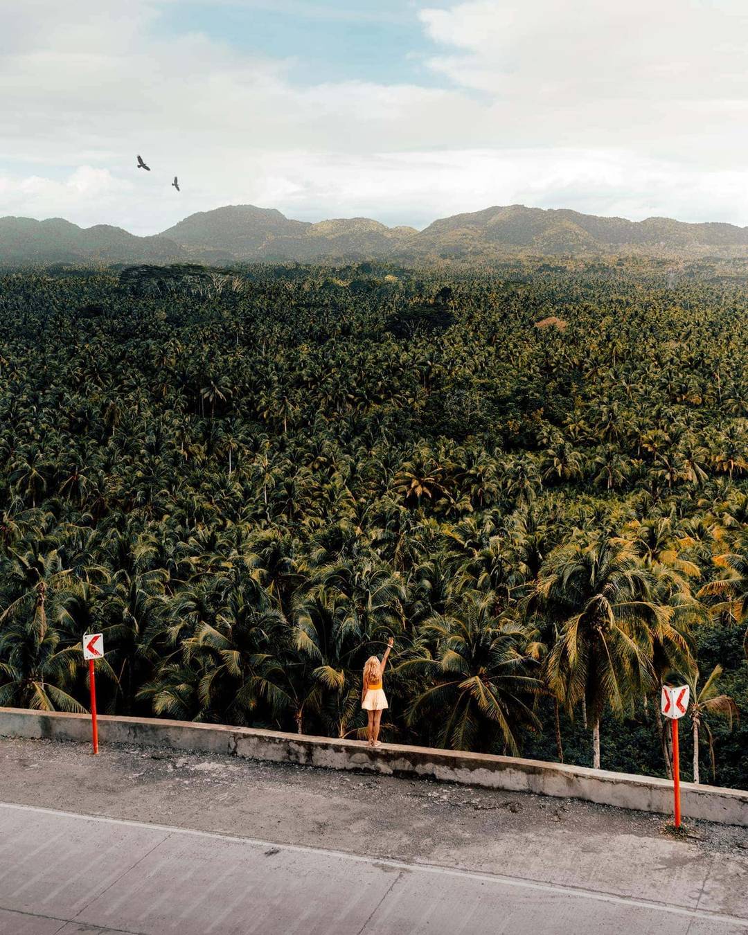 things to do siargao palm viewpoint