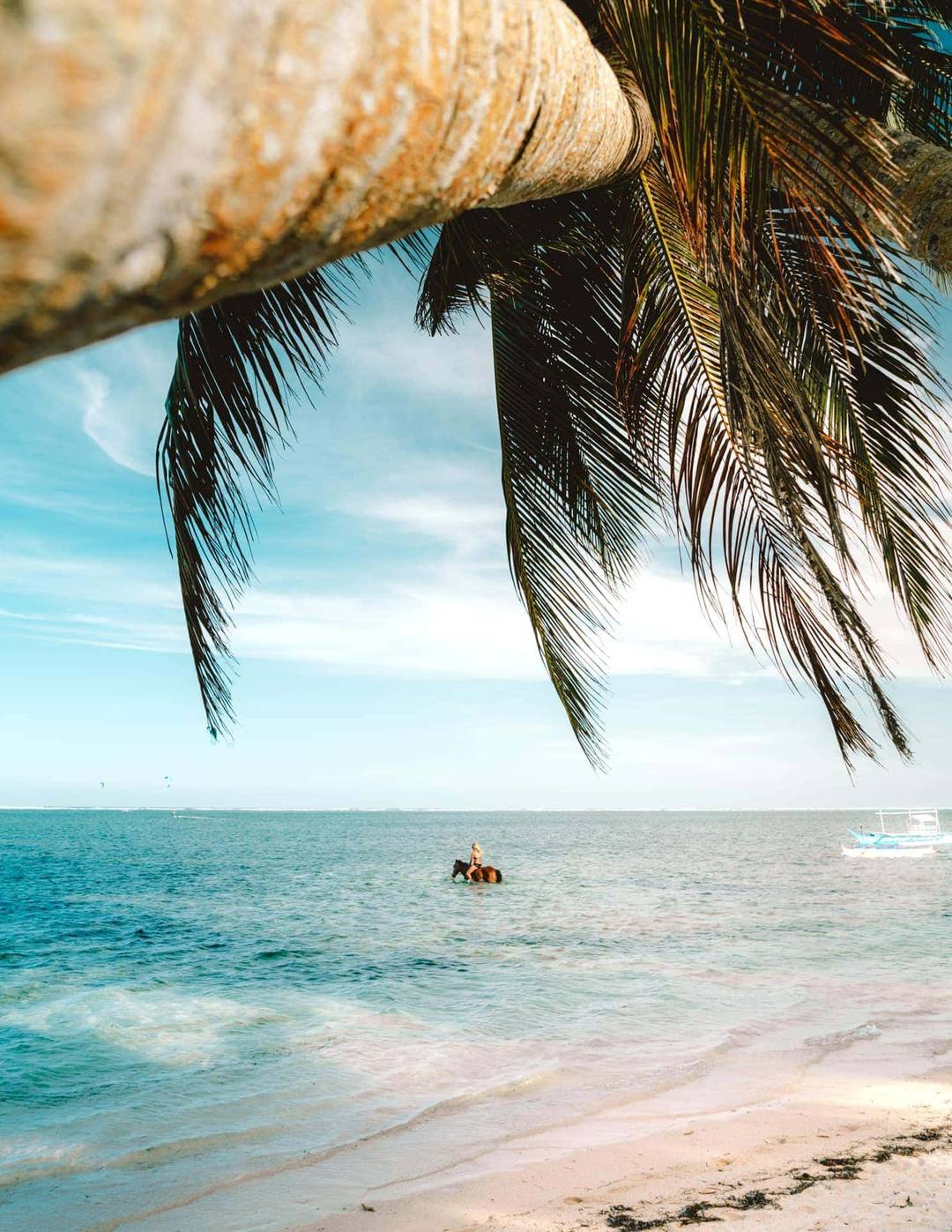 things to do siargao philippines horse riding