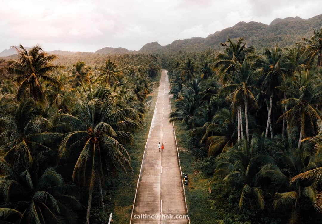 philippines travel guide palm road 