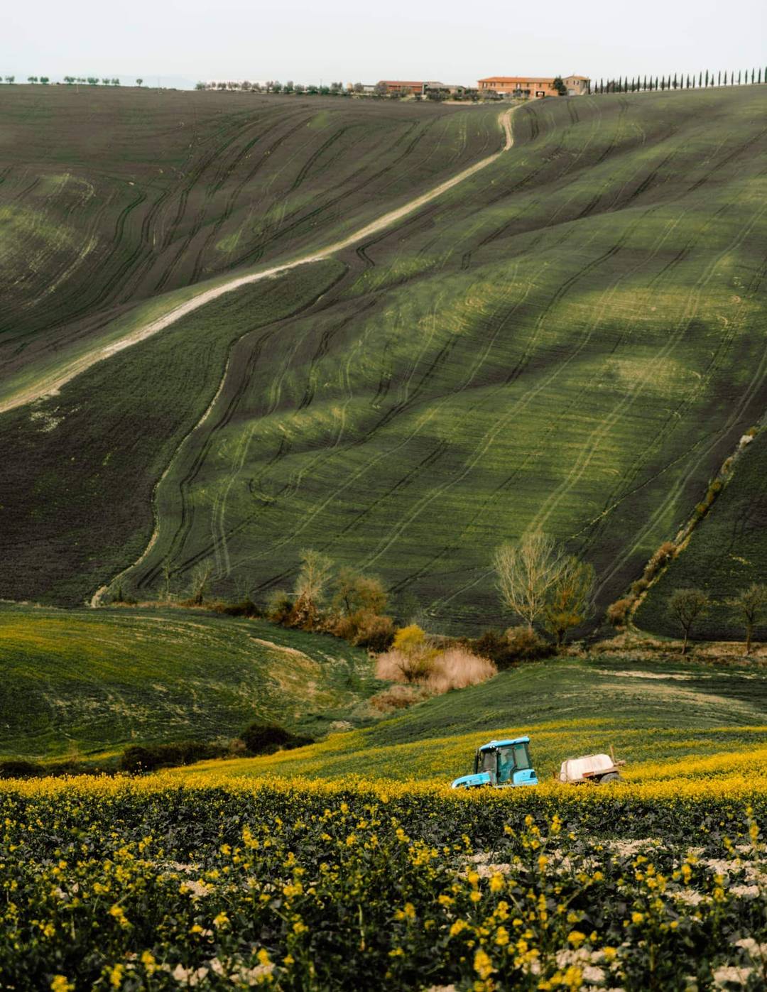 winery tuscany
