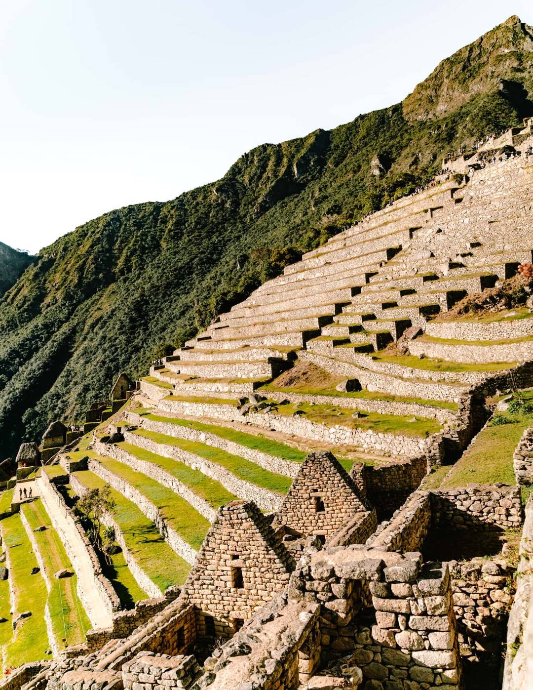 machu picchu terrassen