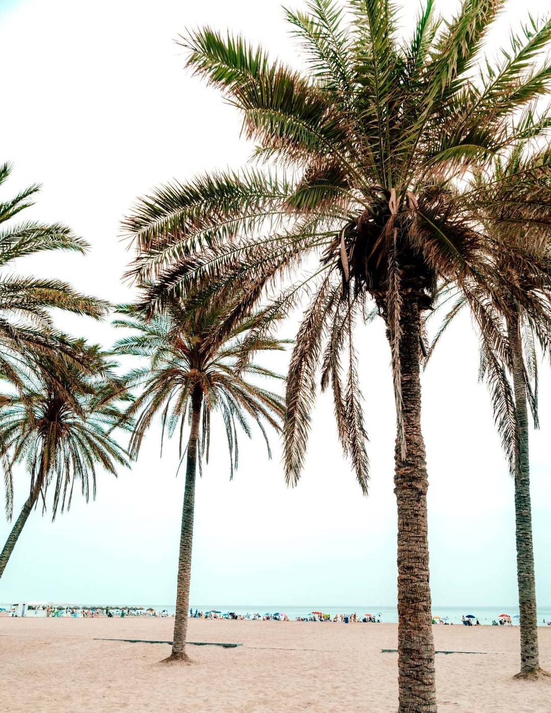 valencia spain beach