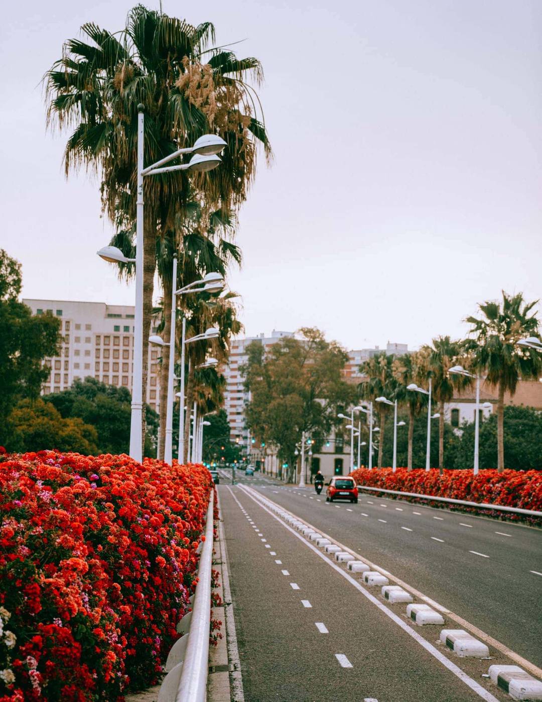 valencia flower bridge