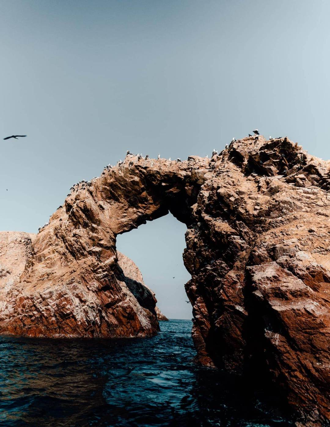 Ballestas Islands peru