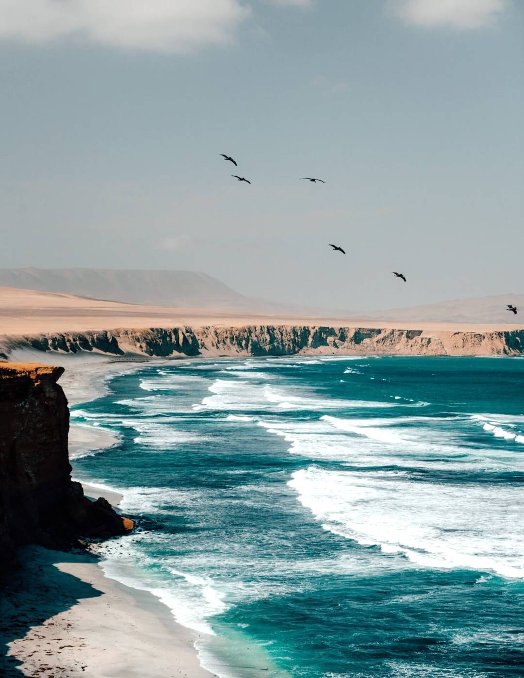 Paracas National Reserve