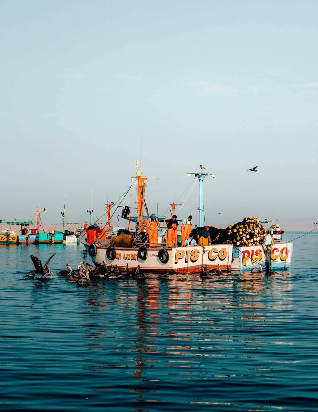paracas Peru