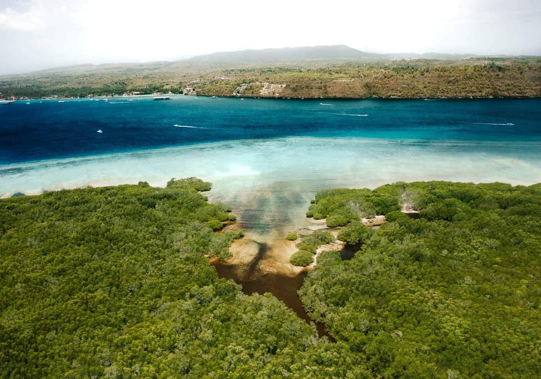 nusa lembongan mangrove