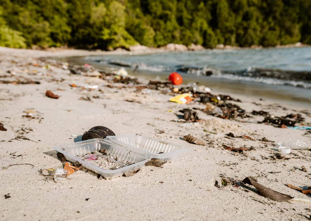 ocean plastic free