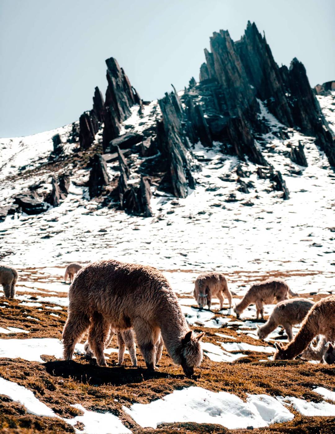 peru travel rainbow mountain